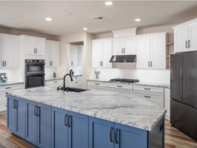 PORTFOLIO HEADERphoto.2023.AUGUST.1500px